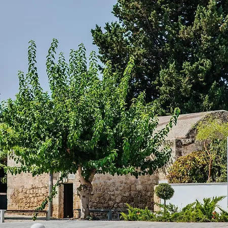 Sofianna & Paphos